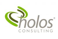 HOLOS CONSULTING formato1
